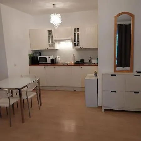 Appartement Tres Grand Studio Proche De Tout Genève