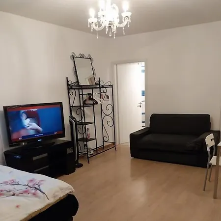 Tres Grand Studio Proche De Tout Appartement