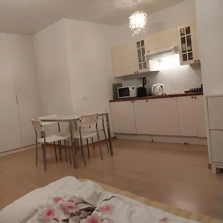 Appartement Tres Grand Studio Proche De Tout Genève